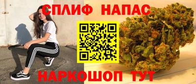 mdpv Можга