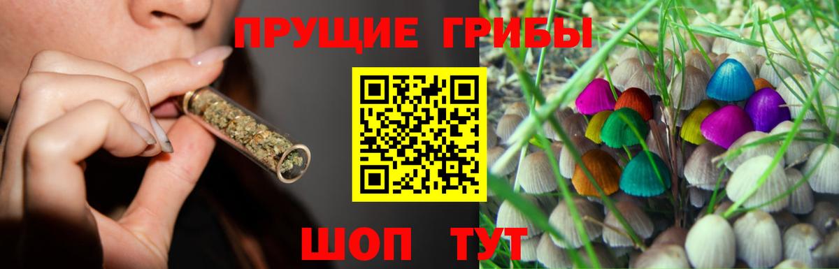 Славянск-на-Кубани  Псилоцибиновые грибы прущие грибы  Вход с VPN  Псилоцибиновые грибы MAGIC MUSHROOMS 